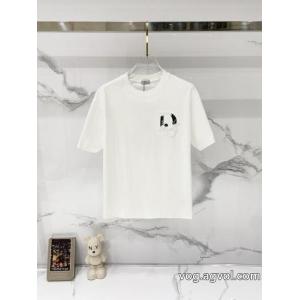 DIORブランド コピー 品大注目日本未入荷 上品見え 大変お買得Tシャツ