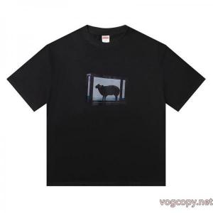 半袖Tシャツ通販 ブランドシュプリーム発売極限状態！ 魅惑 目玉商品セール