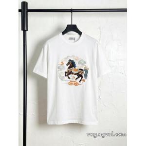 半袖Tシャツブランド 偽物 激安DIORHOT品質保証 激安大低価 こなれ感